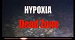 Hypoxia: Dead Zone