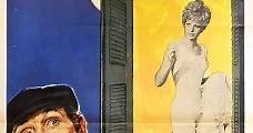 Aquí robamos todos (1967) Online - Película Completa en Español - FULLTV