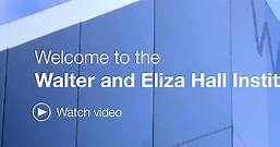 Welcome to the Walter and Eliza Hall Institute