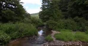 Watershed Restoration on the Monongahela National Forest