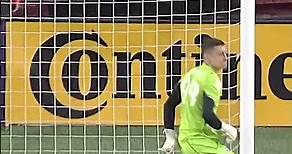 Djordje Petrović’s MLS All-Star Reel! #nerevs #mlsallstar #serbia #goalkeeper