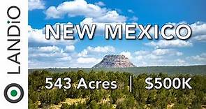543 Acre New Mexico Ranch for Sale bordering National Forest Land • LANDIO
