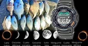 El RELOJ QUE PREDICE LA PESCA. Cuales son las fases lunares que ofrecen mejores jornadas de pesca