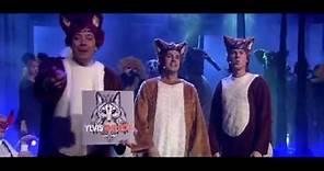 YLVIS THE FOX TRIBUTE VIDEO