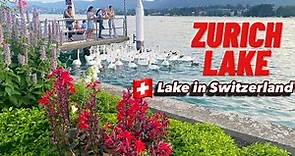 Zürich Lake , Switzerland | Zurich Lake in the summer ! Swiss View