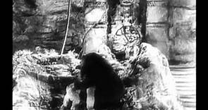 Son of Kong - Original Theatrical Trailer