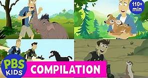Wild Kratts Compilation | Baby Animals | PBS KIDS