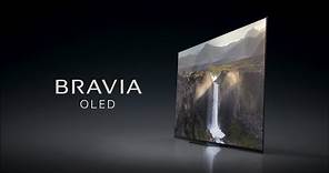 Sony BRAVIA OLED | Special Festive Offers 2019
