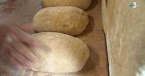 Nîmes : il fabrique son pain avec un blé datant du Moyen-âge