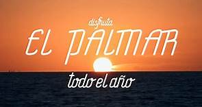 Playa del Palmar Vejer - ¿Ya conoces el paraíso? Pues aún no sabes...