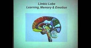 The Neuroscience of Learning and Memory