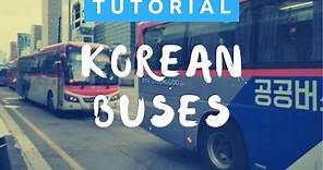 How to Ride the Bus in Korea | Getting Around in Korea