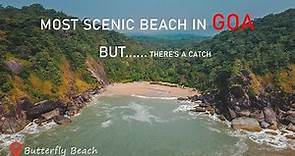 BUTTERFLY BEACH- STILL A HIDDEN PARADISE? How to Reach | Trek Guide| Goa After Lockdown| Aerial View