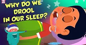 Why Do We Drool In Our Sleep? | Causes of Drooling | The Dr Binocs Show | Peekaboo Kidz