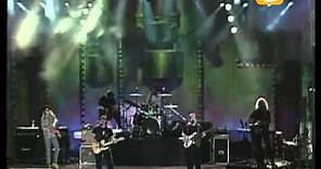 Creedence Clearwater Revisited, Cotton Fields, Festival de Viña 1999
