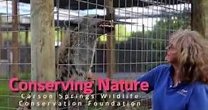 Carson Springs Wildlife Conservation Foundation in Gainesville