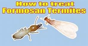 How to Eliminate Formosan Termites Yourself Guaranteed
