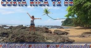 Parque Nacional Corcovado (o cómo abrir un coco) - Costa Rica T2 #5
