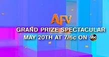 America's Funniest Home... - America's Funniest Home Videos