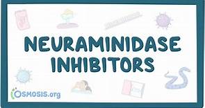 Neuraminidase inhibitors: Video, Anatomy & Definition | Osmosis