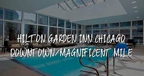 Hilton Garden Inn Chicago Downtown/Magnificent Mile Review - Chicago , United States