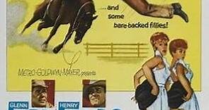 Peliculas Oeste-Los desbravadores-The rounders-(Glenn Ford-Henry Fonda-Chill Wills-Sue Ane Langdon-Edgar Buchanan 1965) Dual Caballos