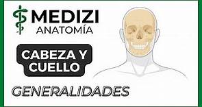 Anatomía de Cabeza y Cuello - Generalidades