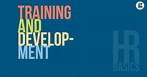 HR Basics: Training and Development