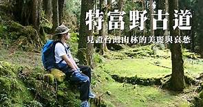 【特富野古道】見證台灣山林的美麗與哀愁 | 順訪兒玉山/東水山