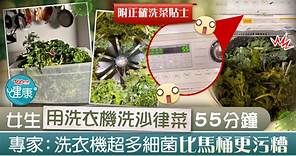 【食用安全】女生用洗衣機洗沙律菜55分鐘　專家：洗衣機超多細菌比馬桶更污糟 - 香港經濟日報 - TOPick - 健康 - 健康資訊