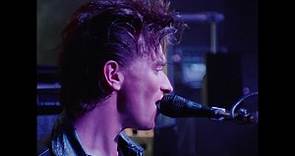 Depeche Mode 101: Alan Wilder HD