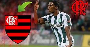 Orlando Berrío ● Bem-vindo ao Flamengo? ● Skills & Goals - 2017
