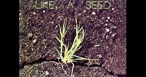 Kenny Rankin - Like A Seed 1972