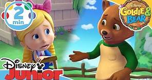 Goldie & Bear | Playin’ With You Song | Disney Junior UK