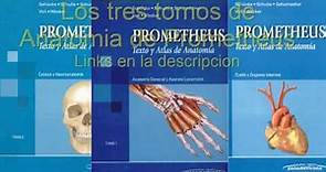 Descargar libros de texto y atlas de anatomia de Prometheus en PDF