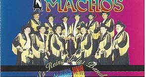 Banda Machos - 16 Reales Hits