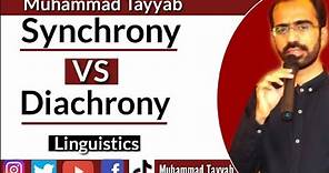 Synchrony and diachrony in linguistics|Linguistics | by Muhammad Tayyab