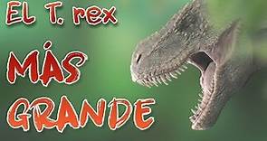 El T rex más grande descubierto