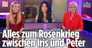 Fremdgeh-Drama: Jetzt erzählt Iris Klein ALLES! | Zuckerbrot & Peitsche #17