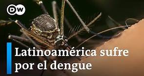 El dengue: la nueva epidemia en Latinoamérica