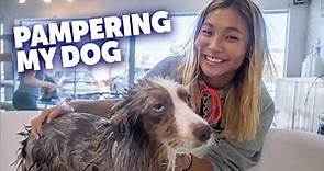 Pampering My Dog Reese!! | Chloe Kim