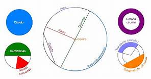 Circunferencia y círculo - Definición y elementos