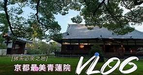 【佛系必須來之地】最美京都青蓮院/京都寺院探訪