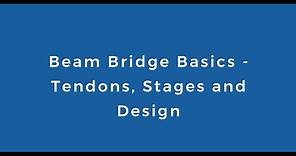 Beam Bridge Basics - Tendons, Construction Stages and Design in SOFiSTiK