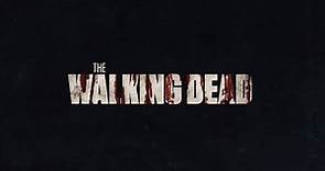 The Walking Dead OST - Main Titles (Series Finale Version)