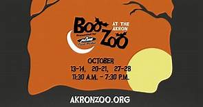 Boo at the Akron Zoo