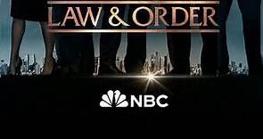 Law & Order: Season 22 Episode 20 Class Retreat