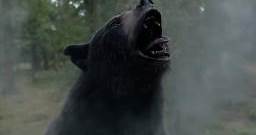 "Cocaine Bear", la película de un oso que inhala cocaína se hace viral | Video