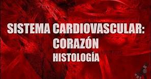 Sistema Cardiovascular: Corazón | Histología