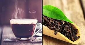 Coffee vs Tea: Which is Best?